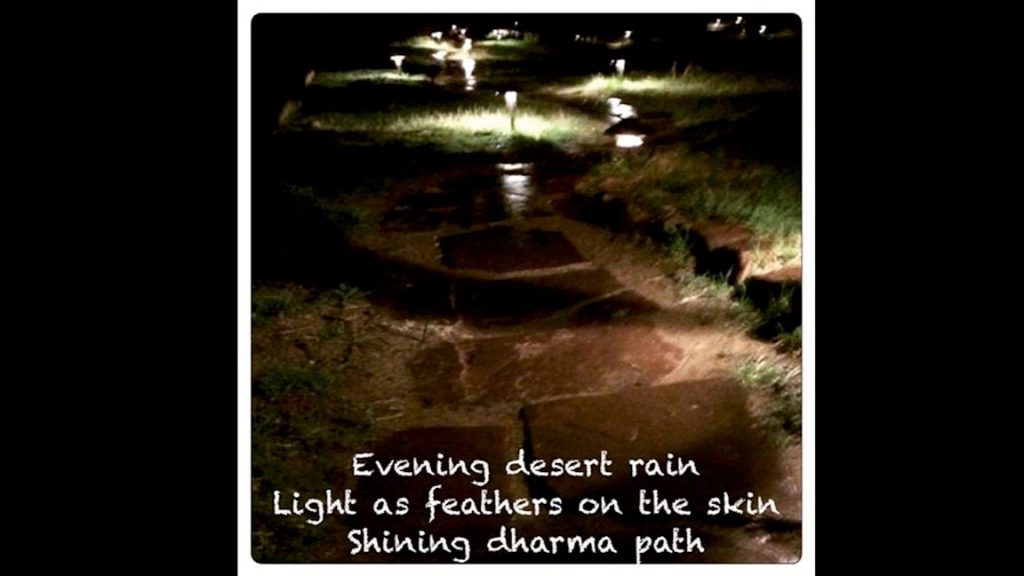 Evening desert rain