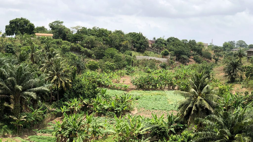 Una historia de Ghana: Te llamo Padre porque no quiero faltarte al respeto