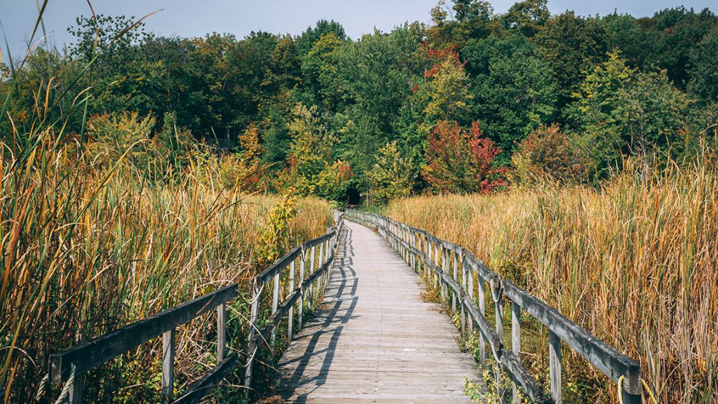 Facing the Oka Crisis: A Conflict Resolution Perspective