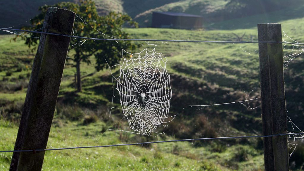 Más allá de la violencia: Construir una paz sostenible